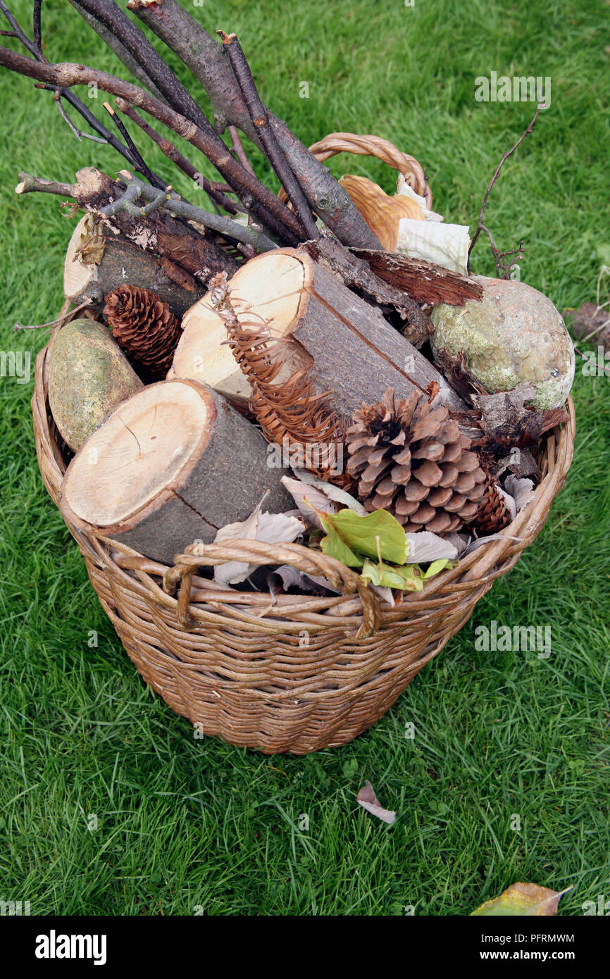 Basket of firewood, close-up Stock Photo