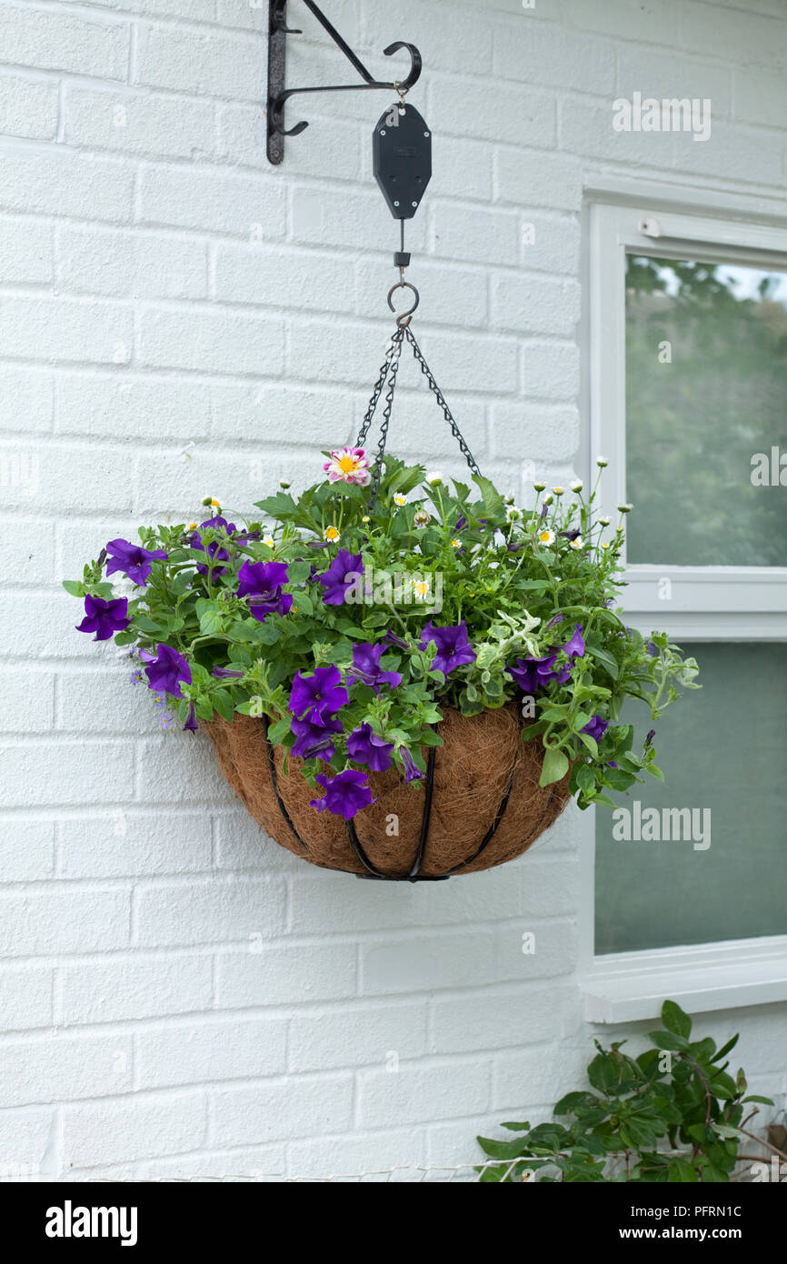 Hanging basket on a pulley Stock Photo Alamy