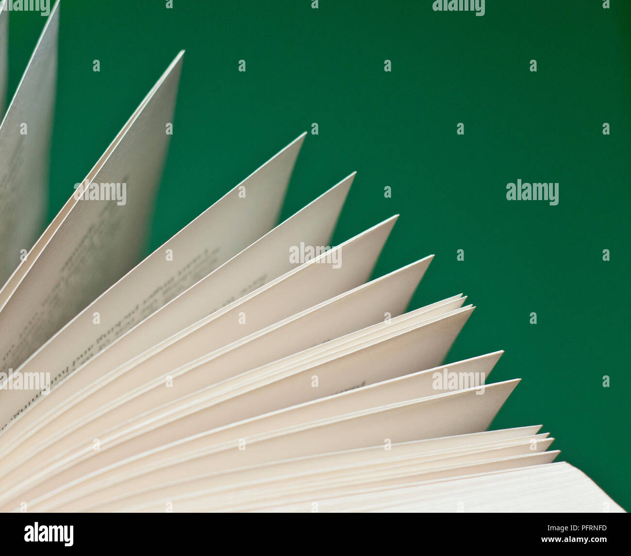 Fanned-out pages of a book, close-up Stock Photo