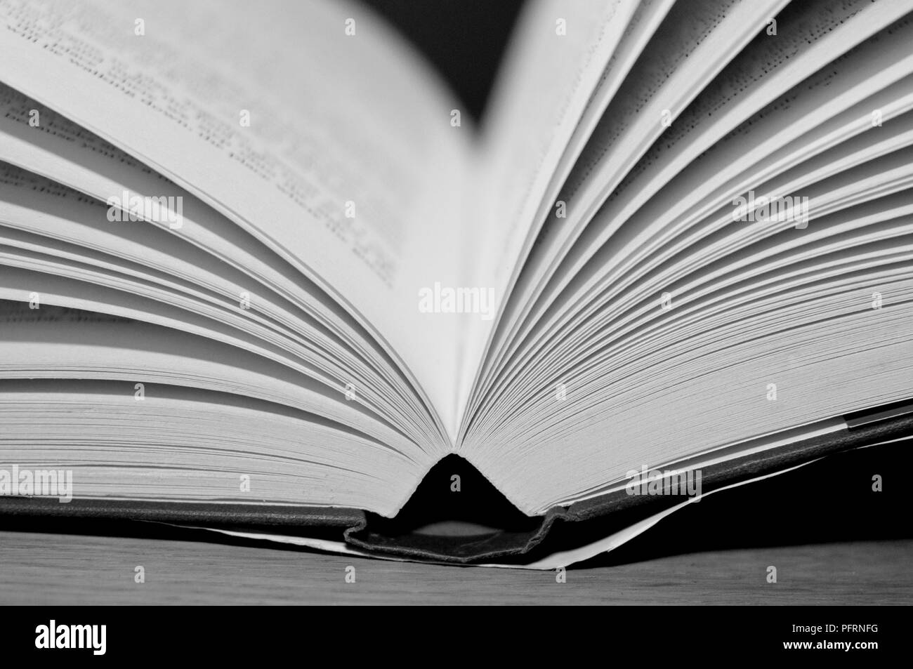 Open book with pages fanned-out, close-up Stock Photo