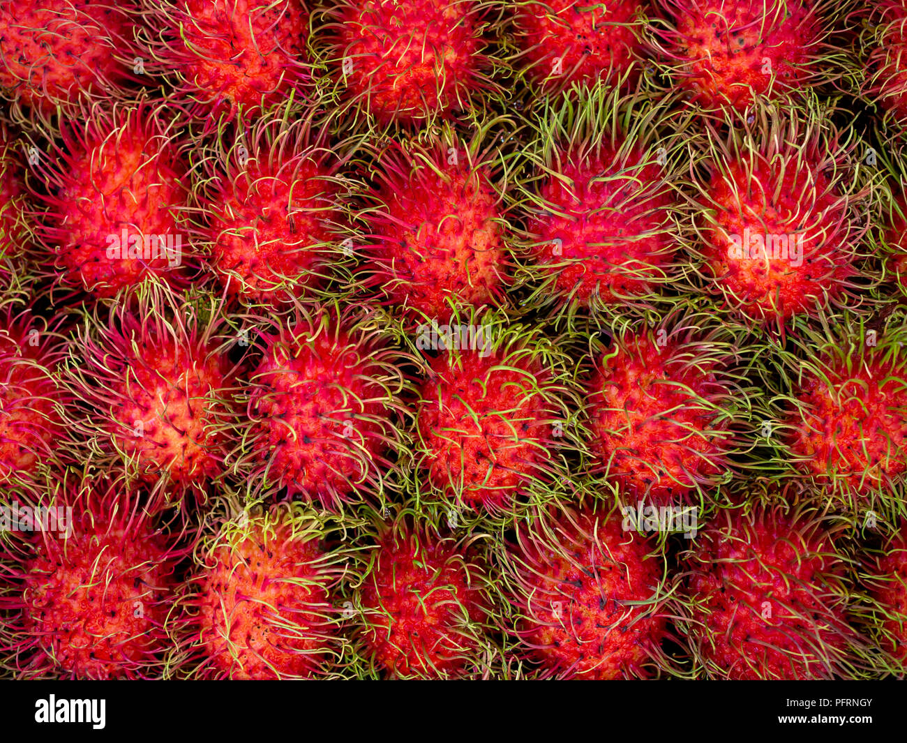 Rambutan Sweet Delicious Fresh Summer Fruit Background Stock Photo - Alamy