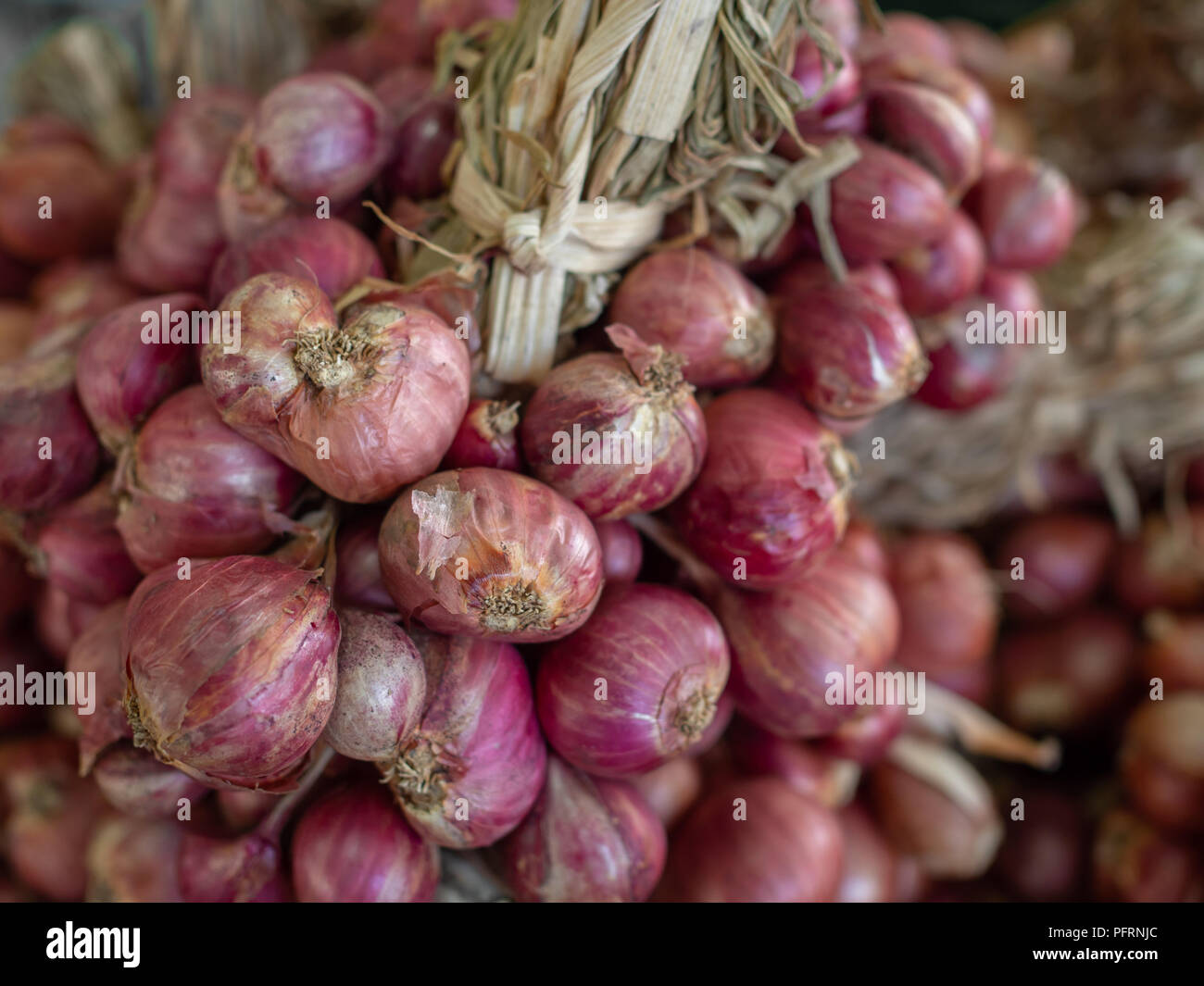 Shallots Fall Fly in Mid Air, Red Fresh Vegetable Spice Shallots Onion  Floating. Organic Fresh Herbal Shallots Root Head Round Stock Photo - Image  of isolated, health: 272136616