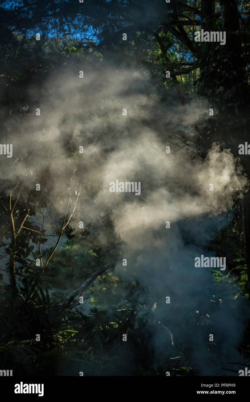 Smoke on sun ray create a nice straight line view Stock Photo Alamy
