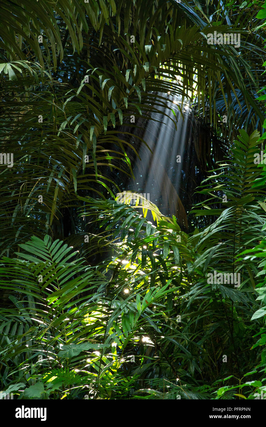 Smoke on sun ray create a nice straight line view Stock Photo Alamy