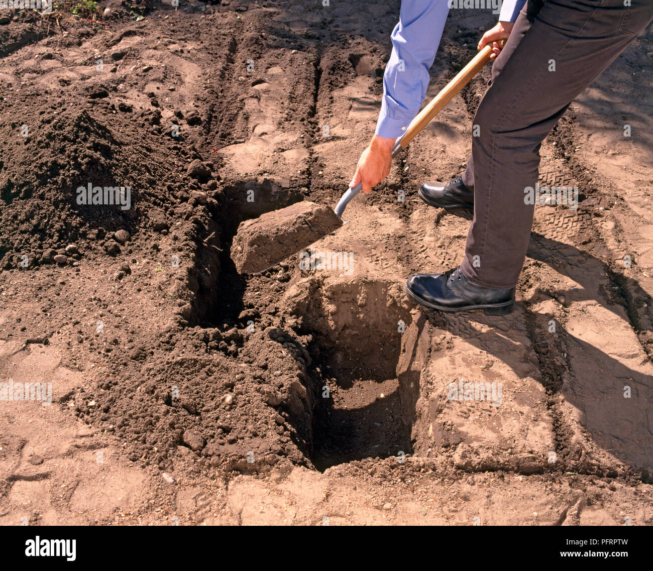 Man using spade to dig out soil for second trench Stock Photo Alamy
