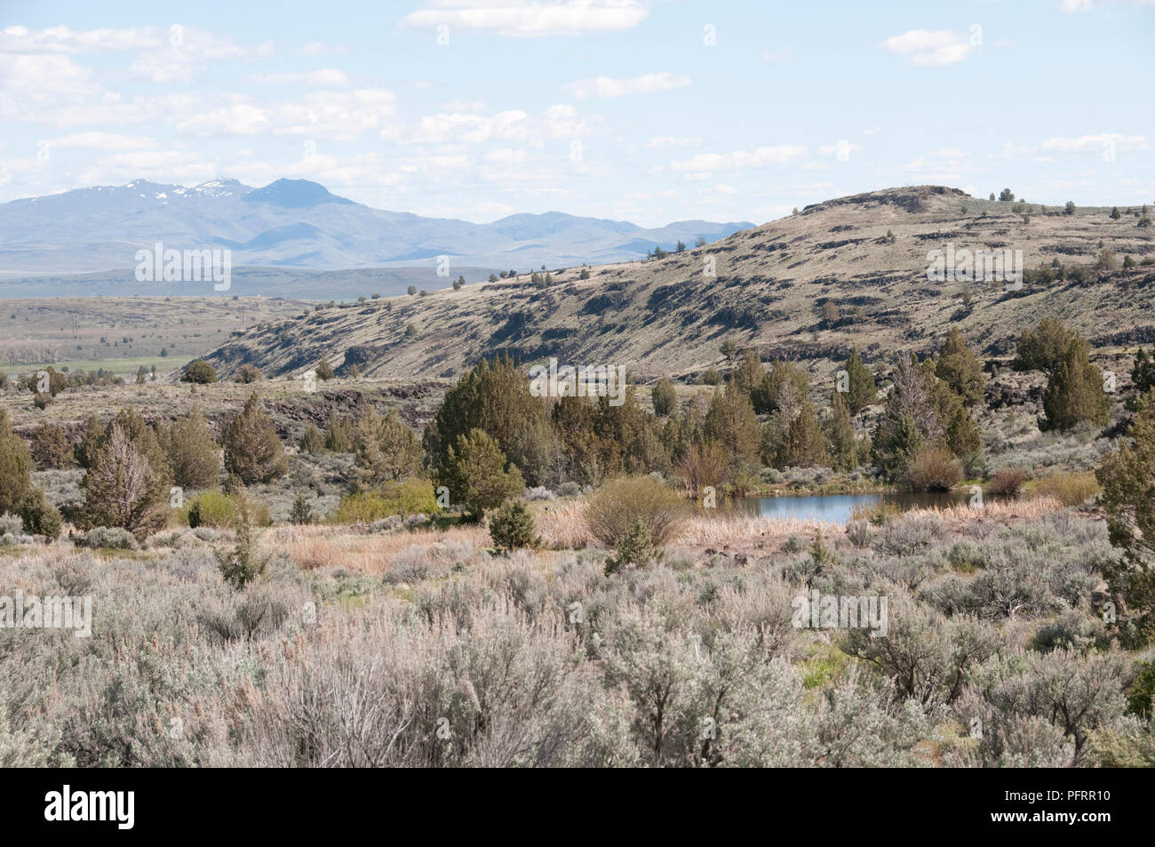Susanville california hi-res stock photography and images - Alamy