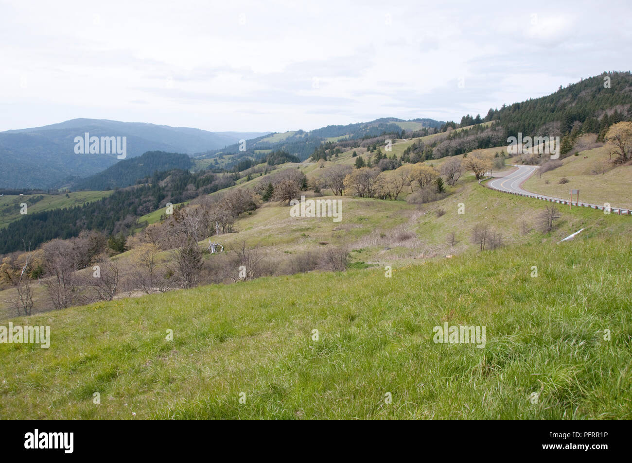 USA, California, Willow Creek, Vista Point from Berry Summit Stock Photo