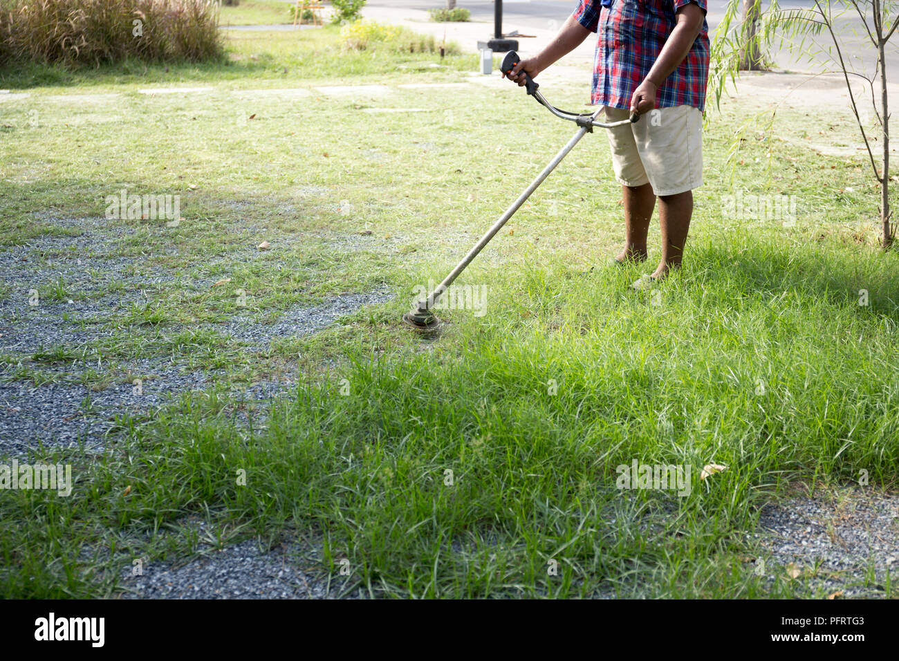 electric lawn hand clippers