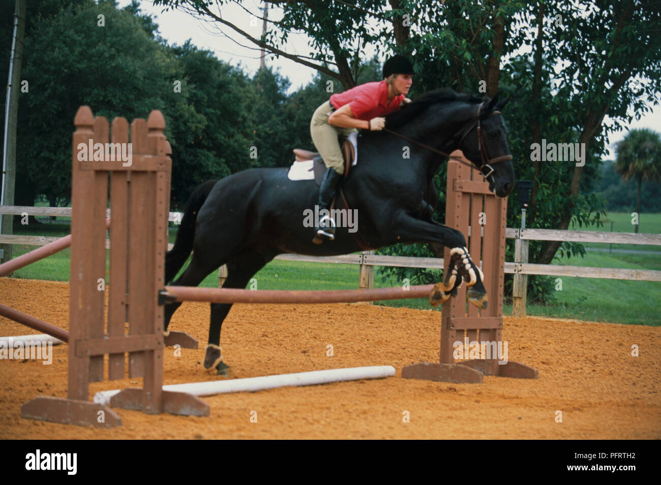 Young woman riding black horse over show jump in paddock Stock Photo