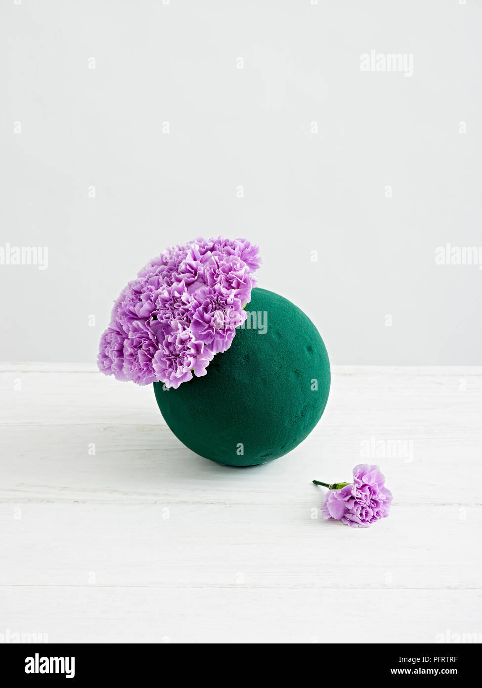 Pink carnations in floral foam ball Stock Photo