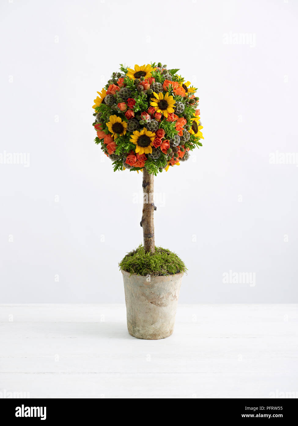 Topiary tree including sunflower, hebe, moss, roses, scabious Stock Photo