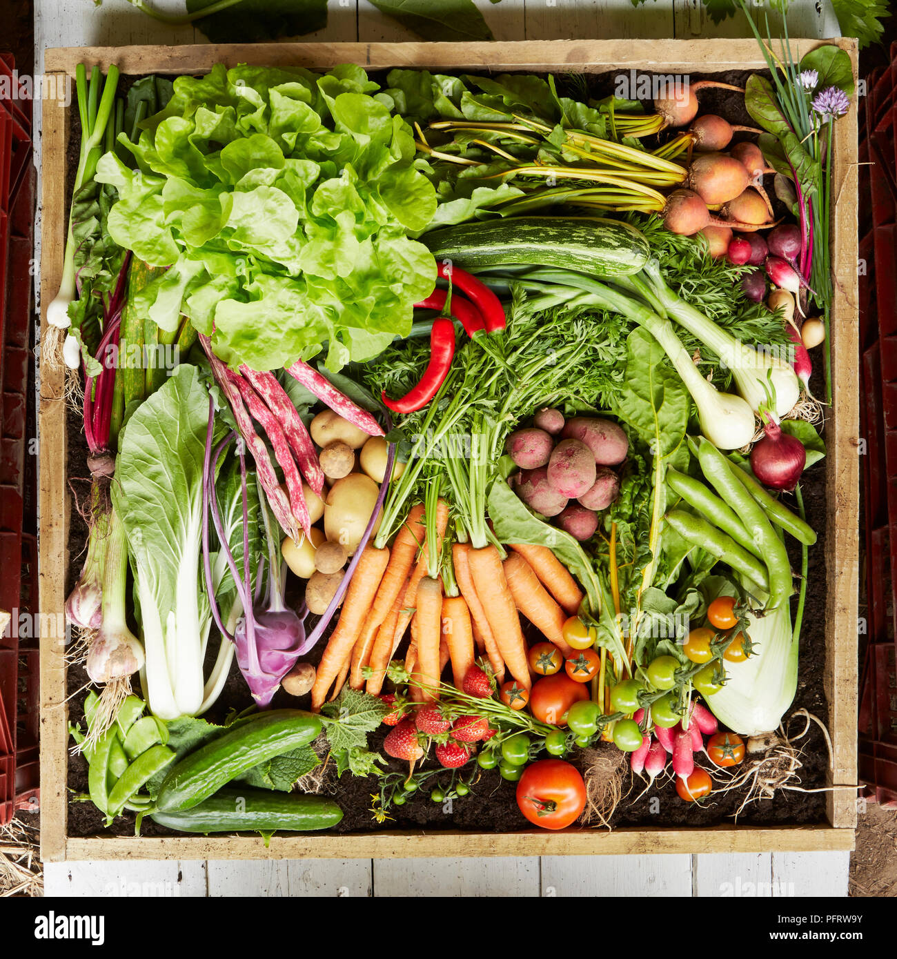 Range of biodynamic vegetables Stock Photo