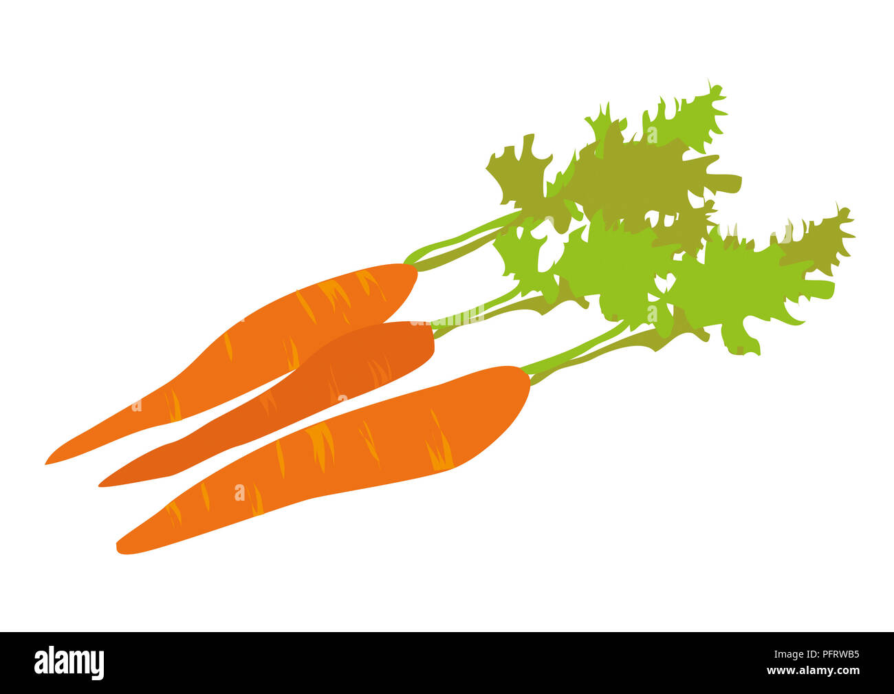 Illustration of carrots Stock Photo