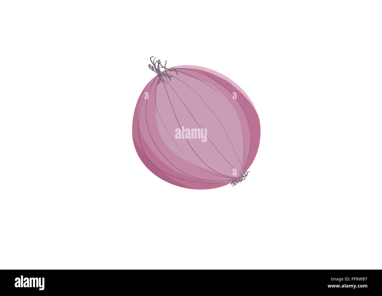 Illustration of a red onion Stock Photo