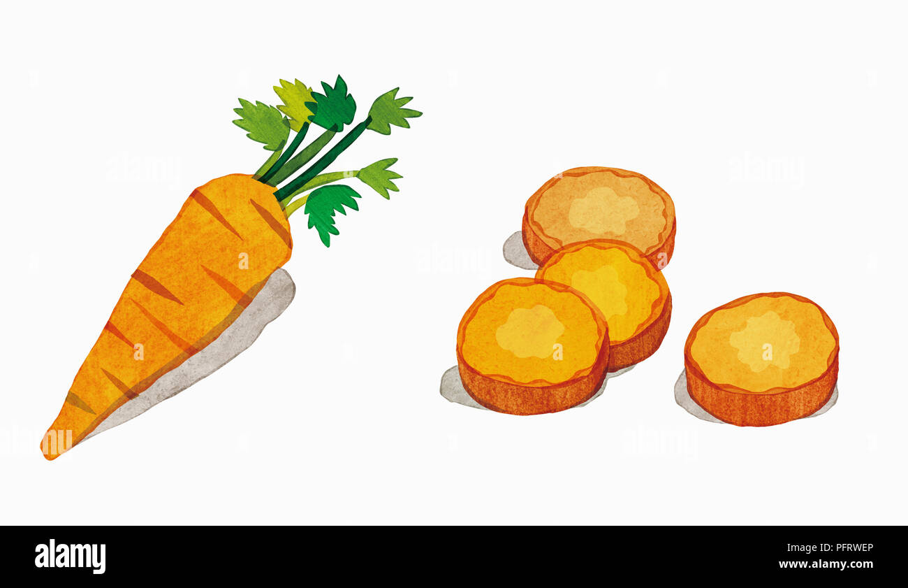 Illustration, Carrot, whole and sliced Stock Photo