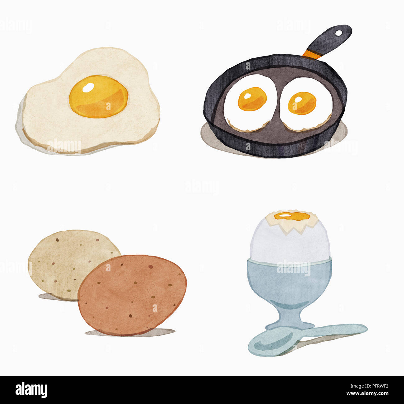 Illustration, Boiled egg, fried eggs, whole eggs Stock Photo