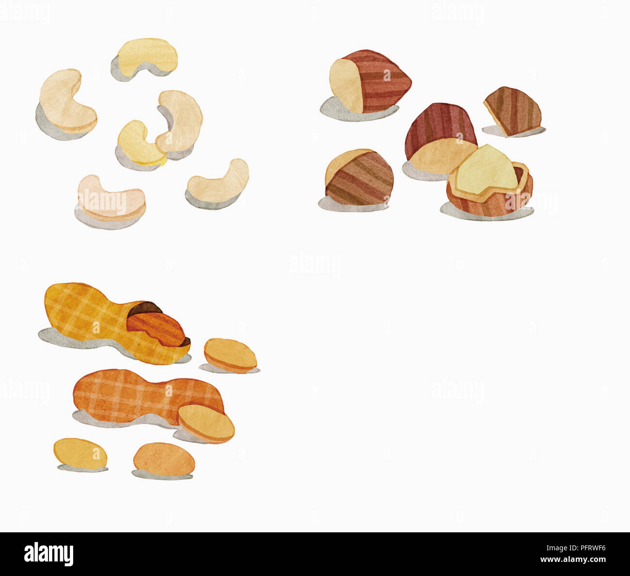 Illustration, Nuts Stock Photo