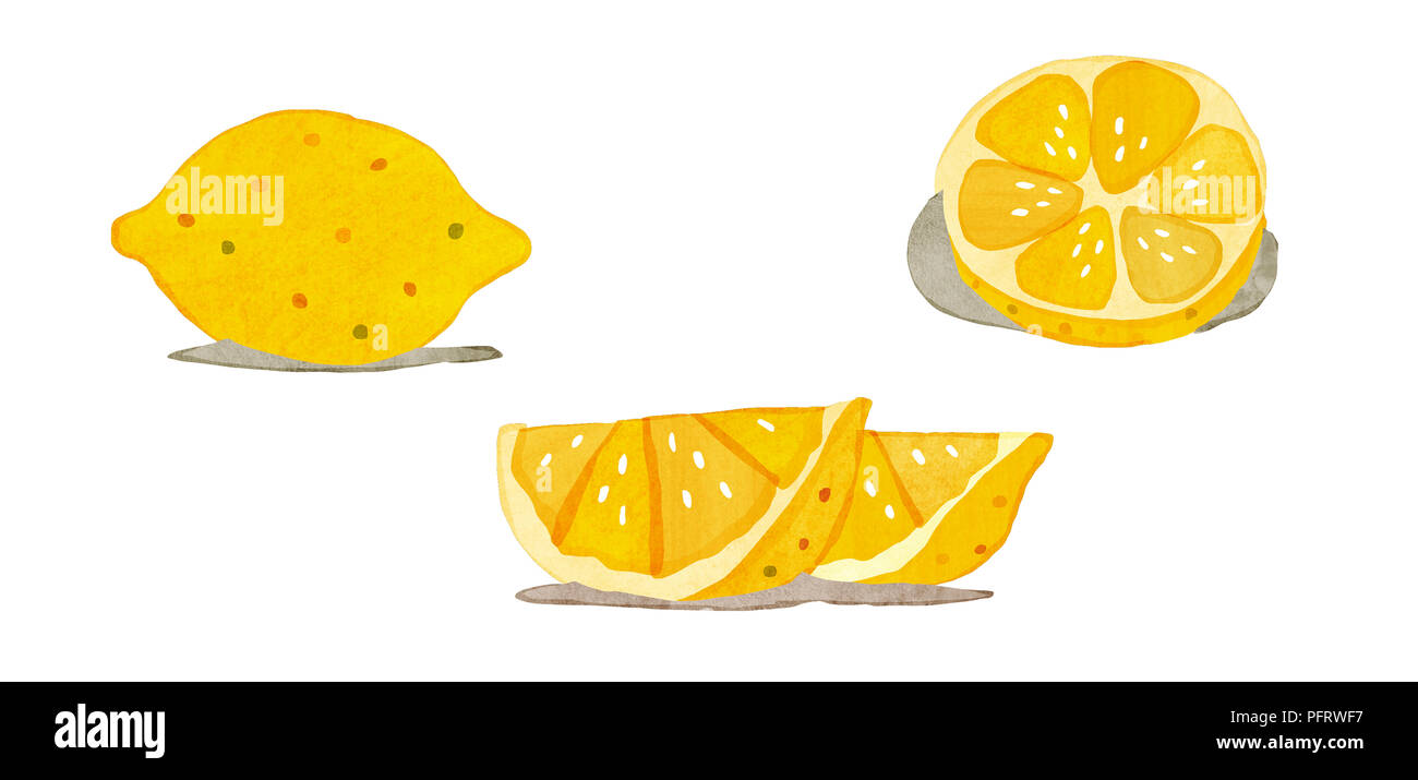 Illustration, Lemon, whole and segments Stock Photo