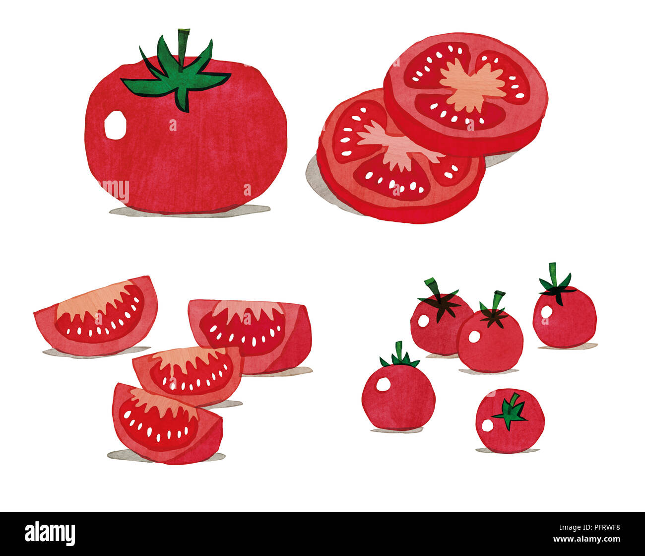 Illustration, Tomatoes, whole, sliced, and cherry tomatoes Stock Photo