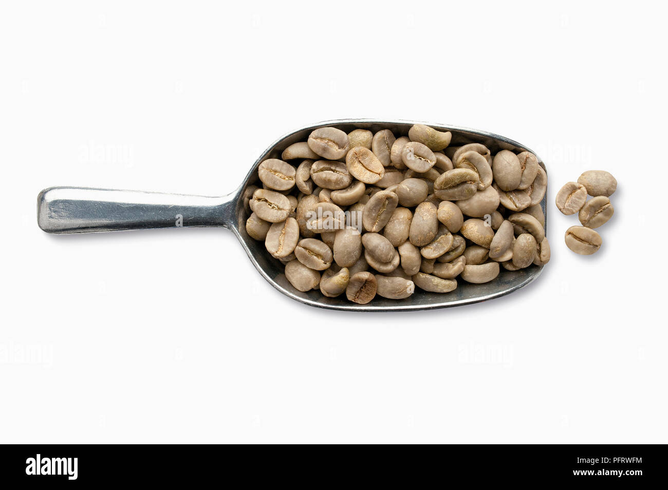 Java, scoop of Washed Arabica coffee beans Stock Photo