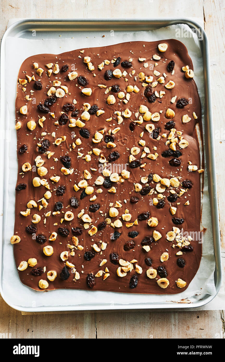 Milk chocolate bark with hazelnuts and raisins Stock Photo