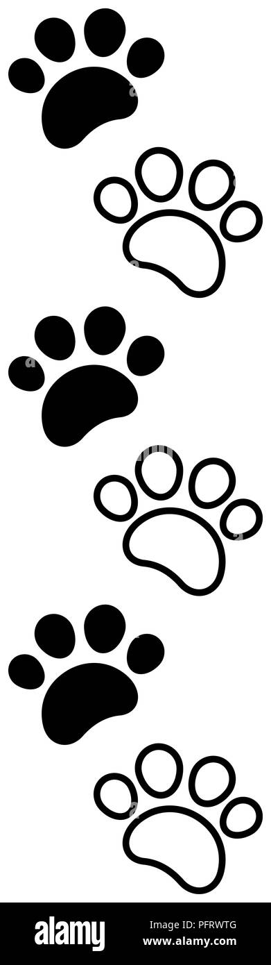 Animal Footprints Variety Of Animal Paw Prints Stock Illustration