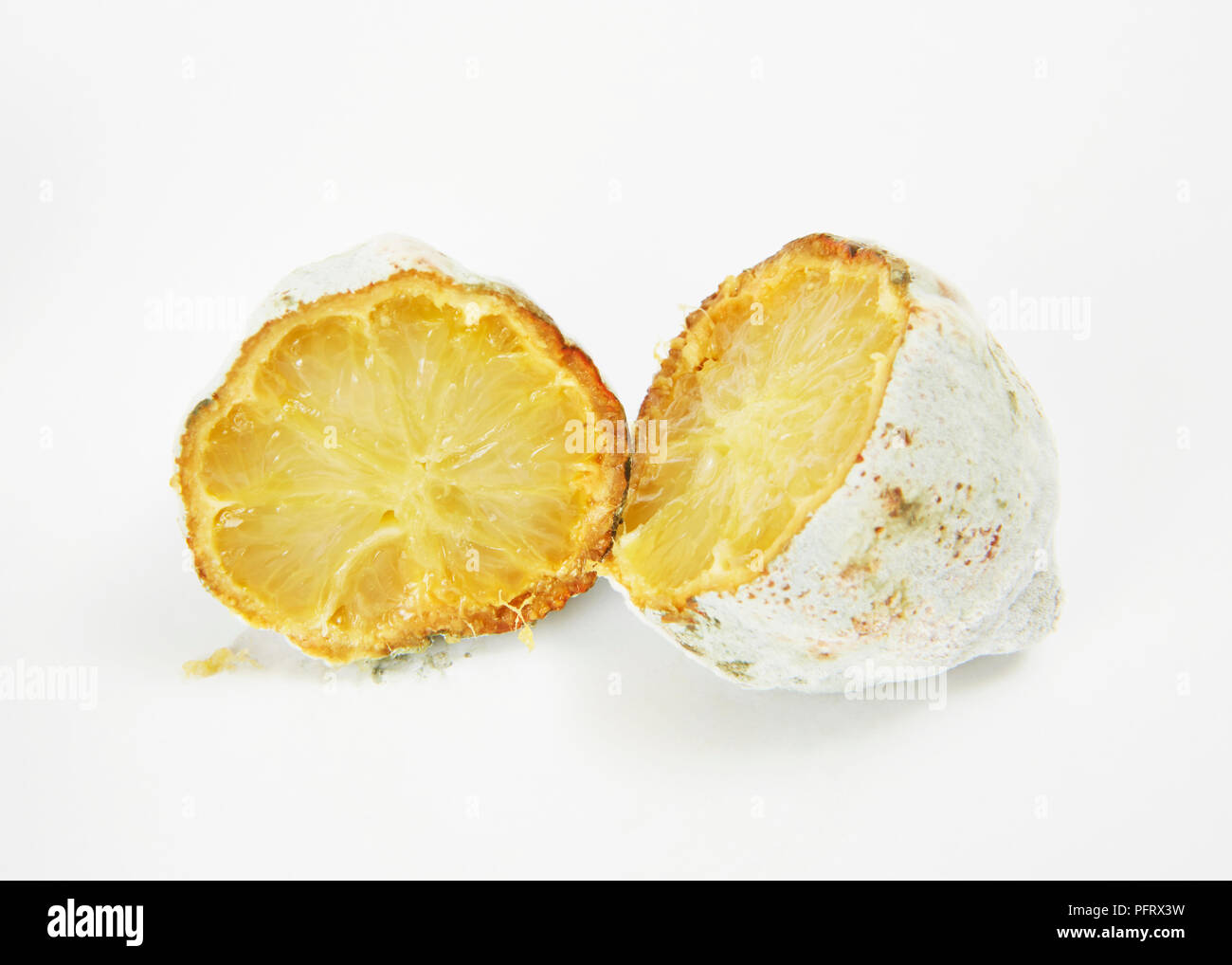 Mouldy lemon Stock Photo