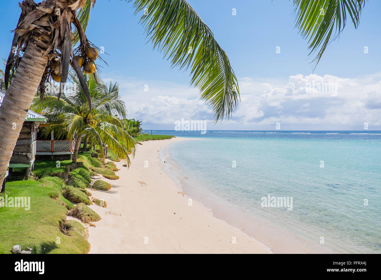 Manase Beach, Savai'i, Samoa, South Pacific - blue sea and sky with coconut palm trees and fale accommodation Stock Photo