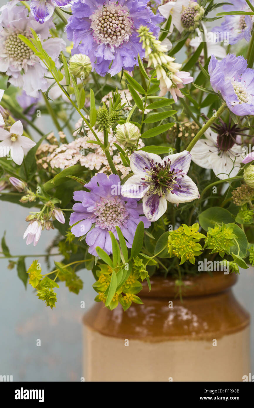 Scabious flower arrangement Stock Photo