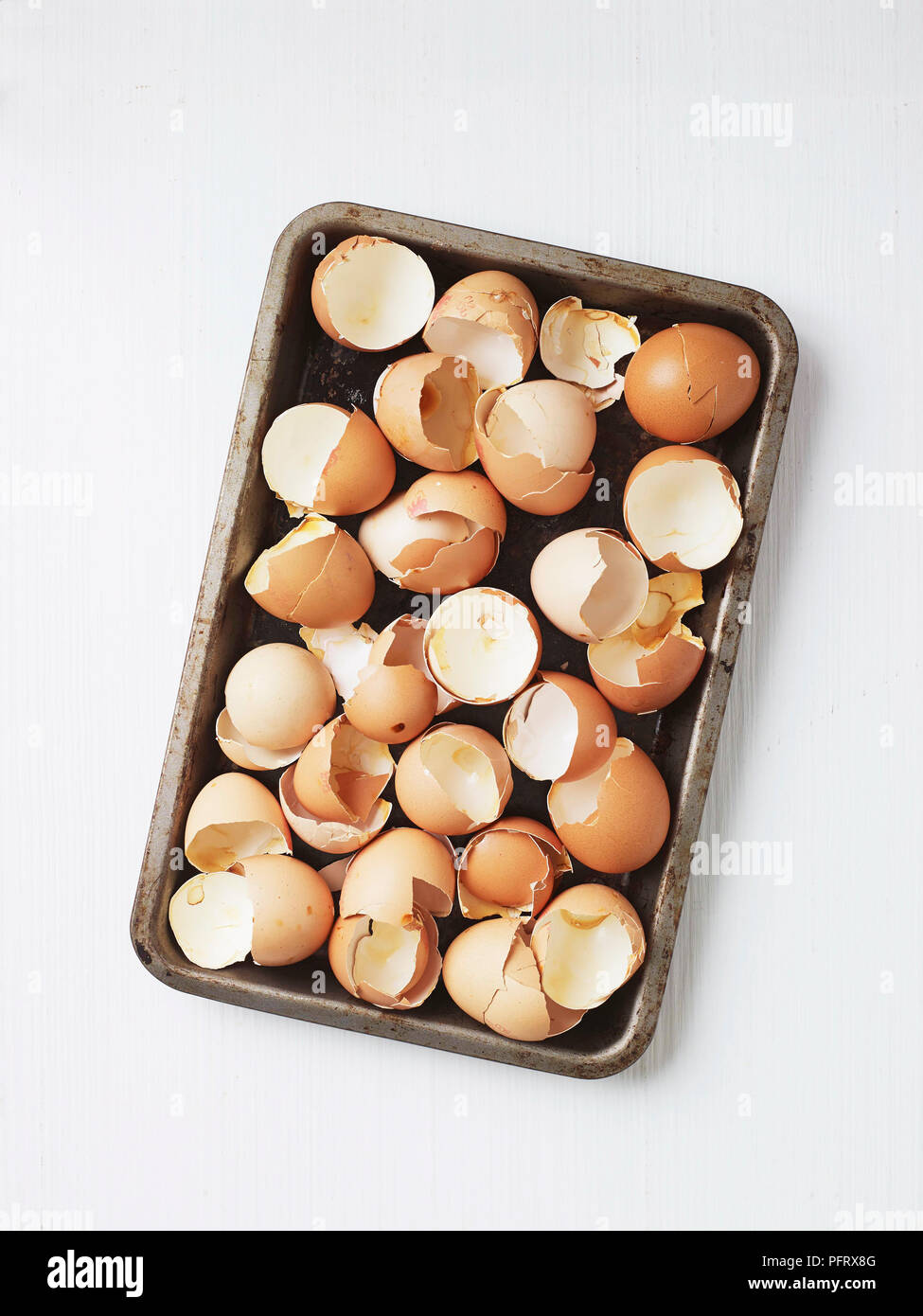 Cleaned eggshells on a baking tray to make eggshell powder Stock Photo