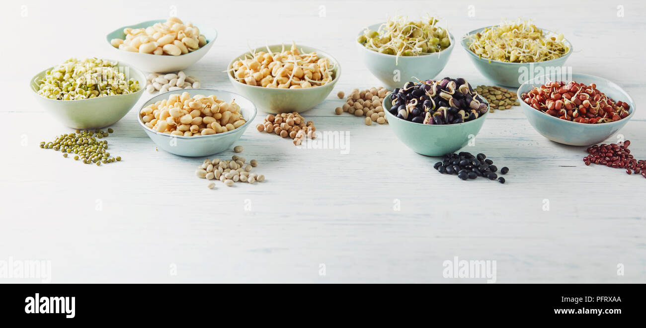 Sprouted and unsprouted legumes in bowls on whitewashed wood background Stock Photo