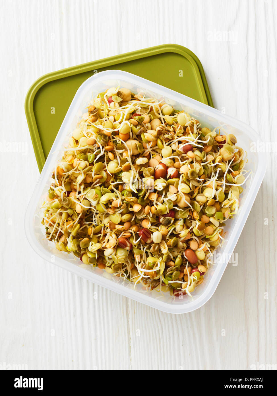 Mixed sprouts in container Stock Photo Alamy