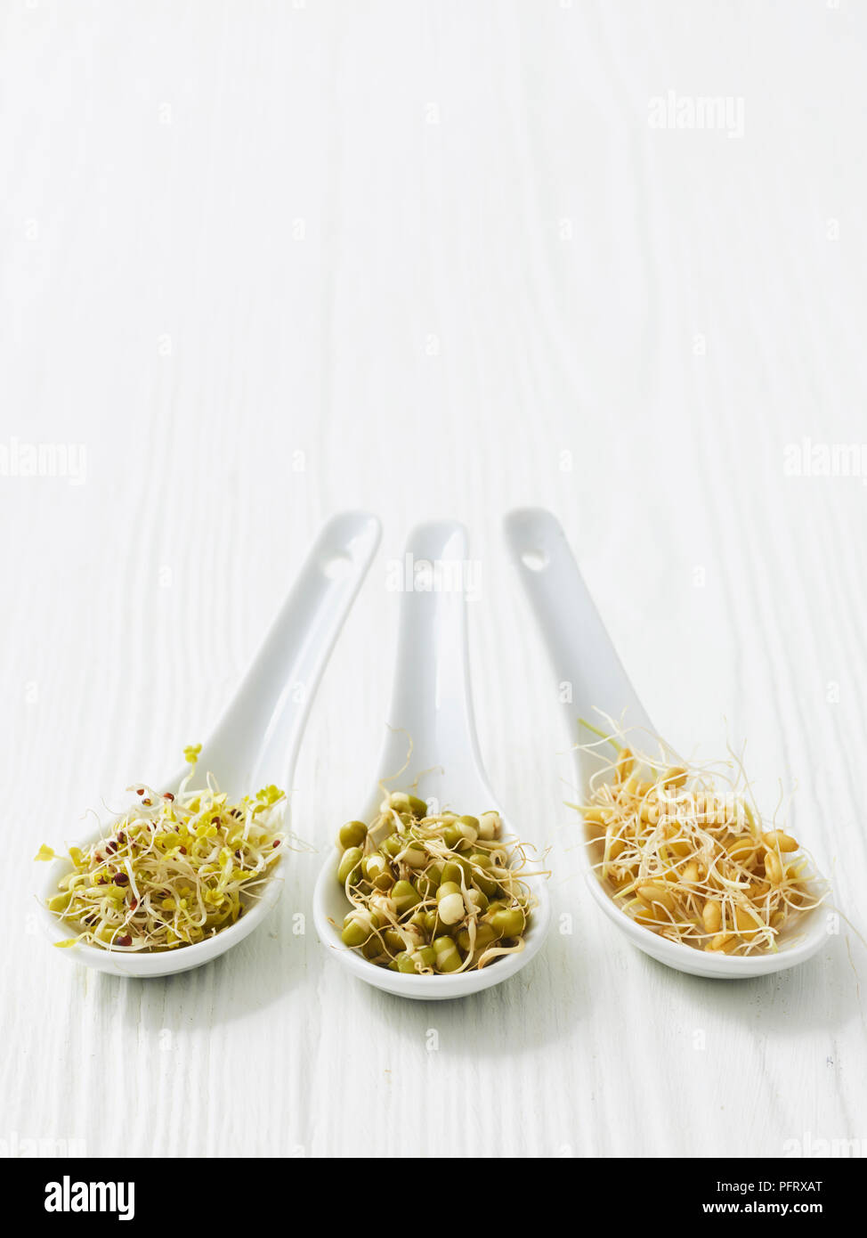 Sprouts on white spoons Stock Photo