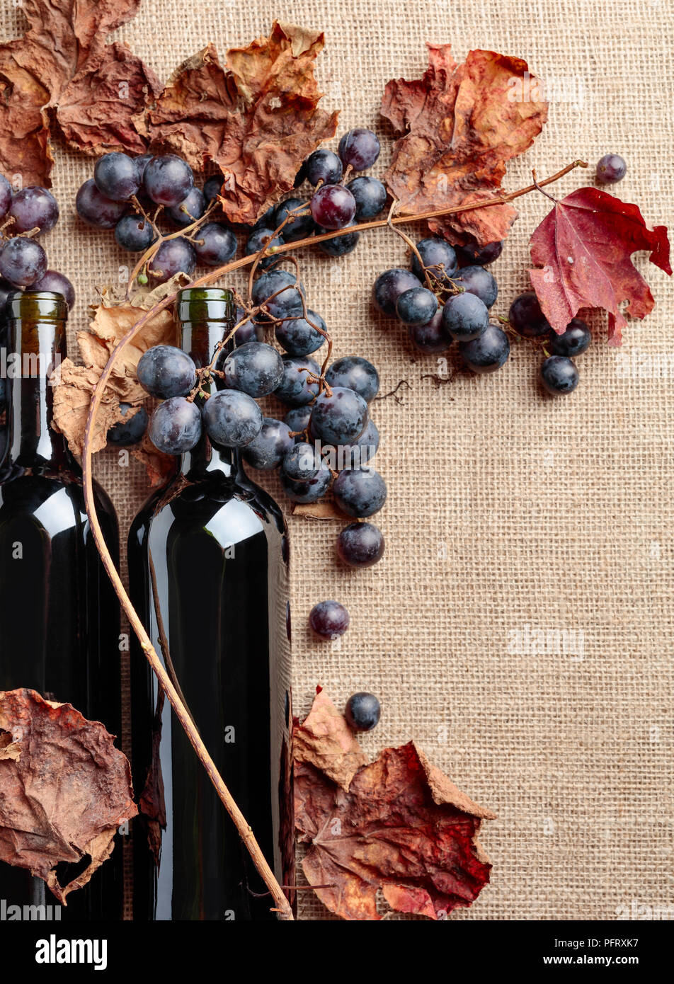 Red wine bottles and fresh grapes with dried up vine leaves on burlap ...