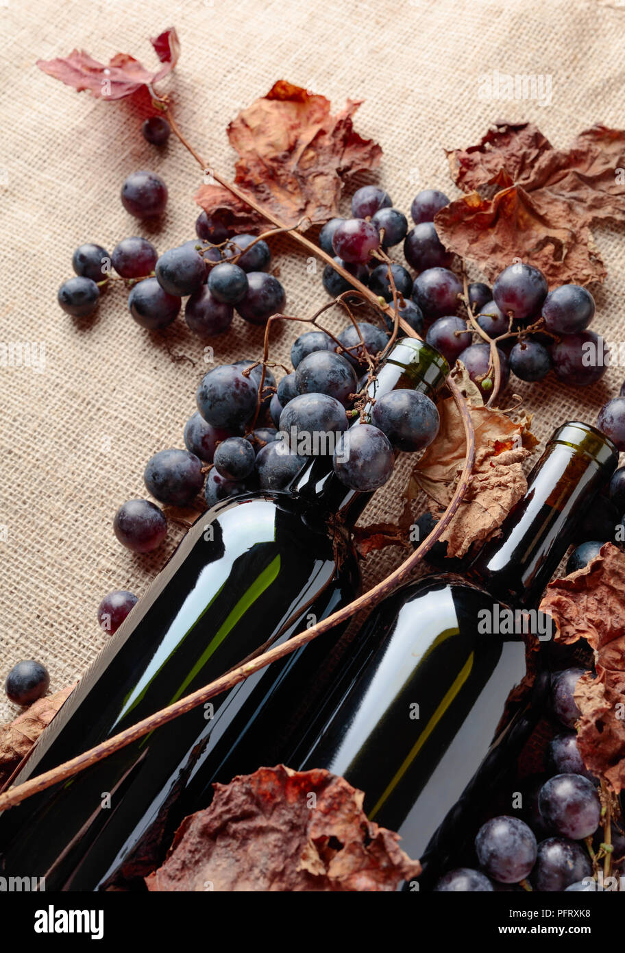 Red wine bottles and fresh grapes with dried up vine leaves on burlap ...