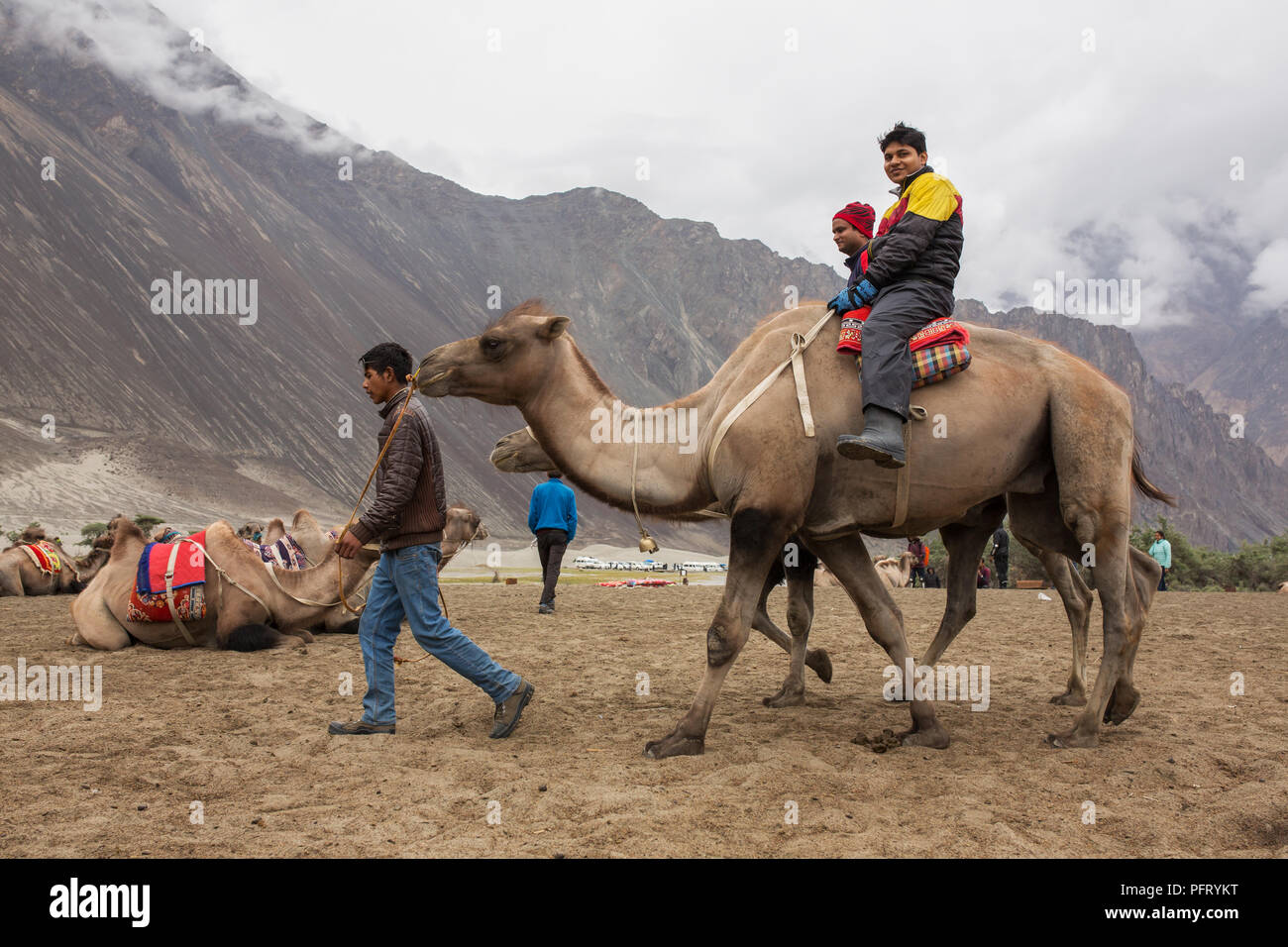 Ladakh, India - June 29, 2017: Unidentified Indian tourists riding camels during safari in Nubra valley in Ladakh, India Stock Photo