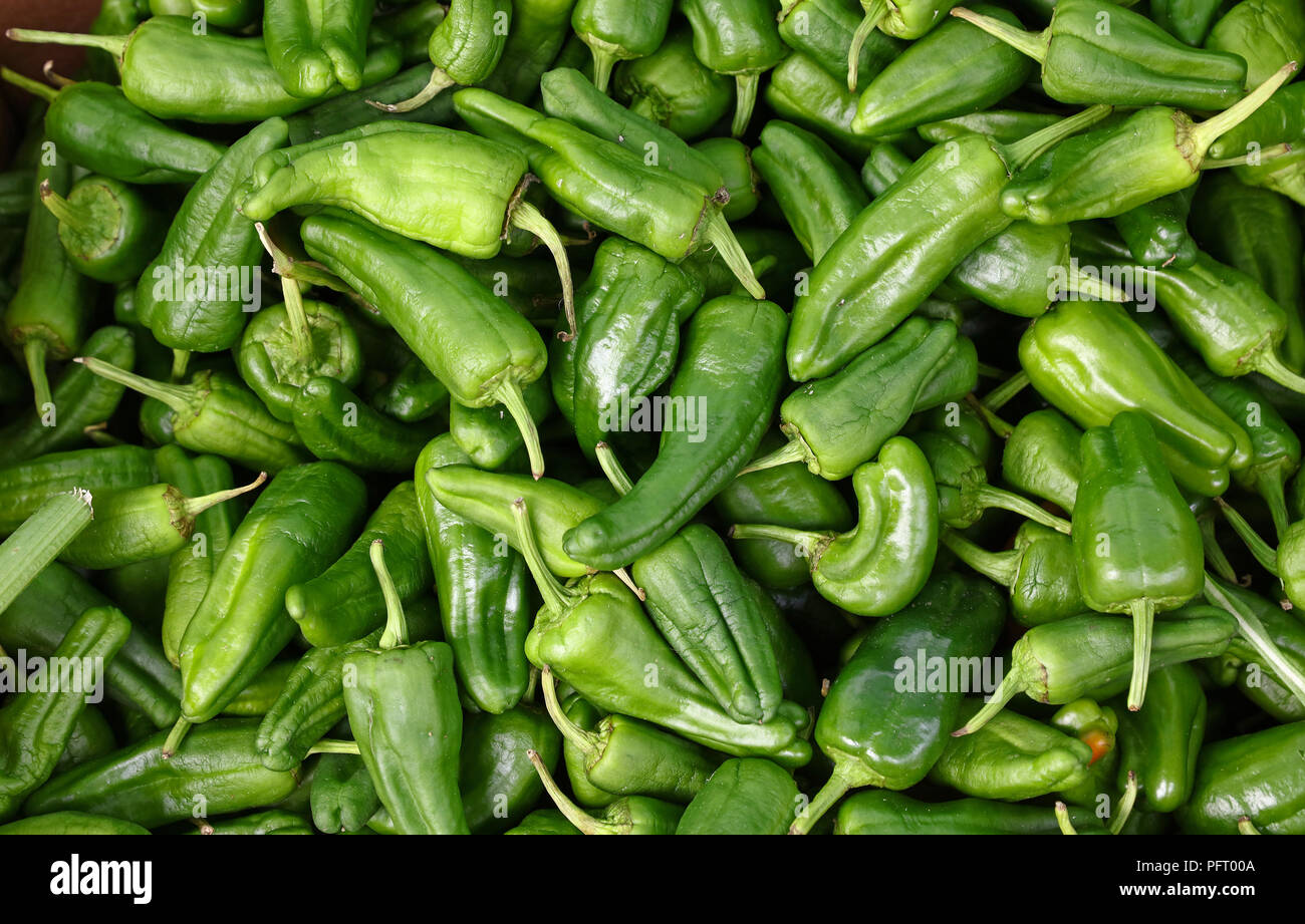 Close up background of fresh green padron hot chili peppers on retail display of farmers market, elevated top view, directly above Stock Photo