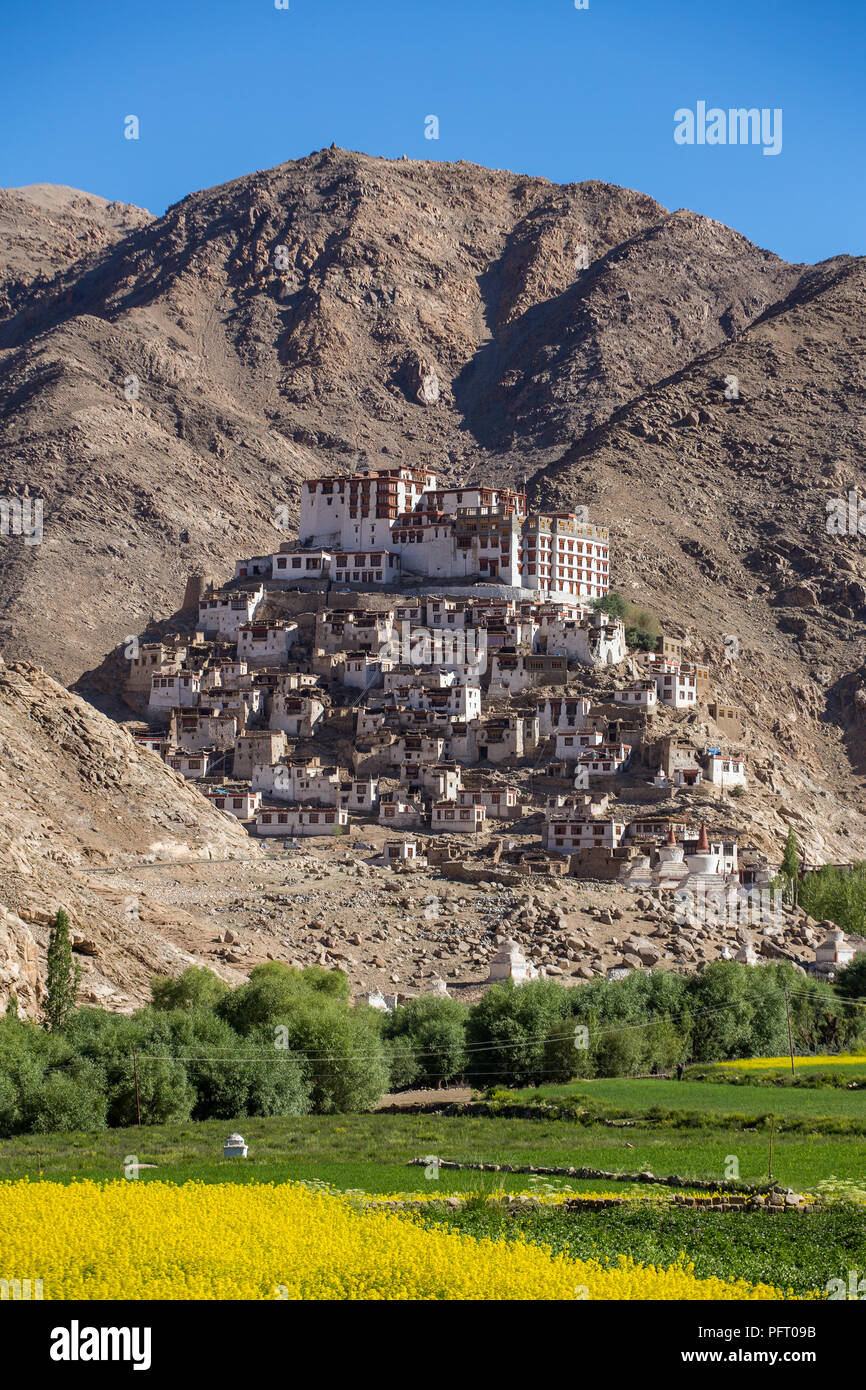 Chemre gompa Buddhist monastery in Ladakh, Jammu & Kashmir, India Stock Photo