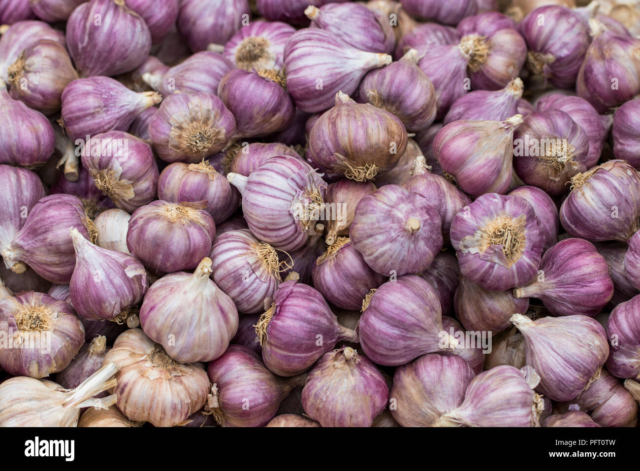 Garlic on the counter of the vegetable market. Close-up and top view of ...