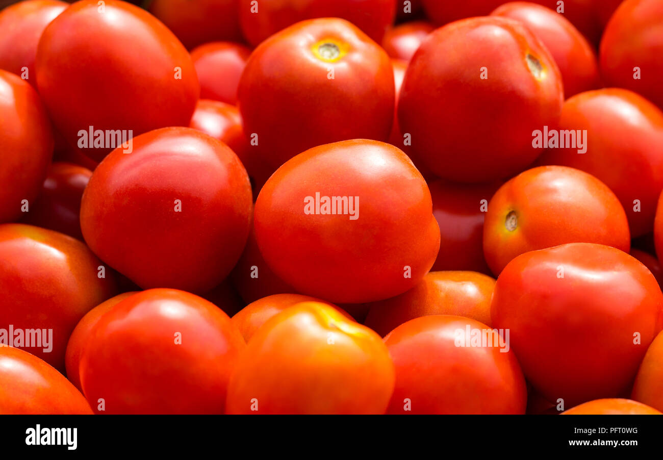 The red tomatoes background. Group of tomatoes Stock Photo - Alamy