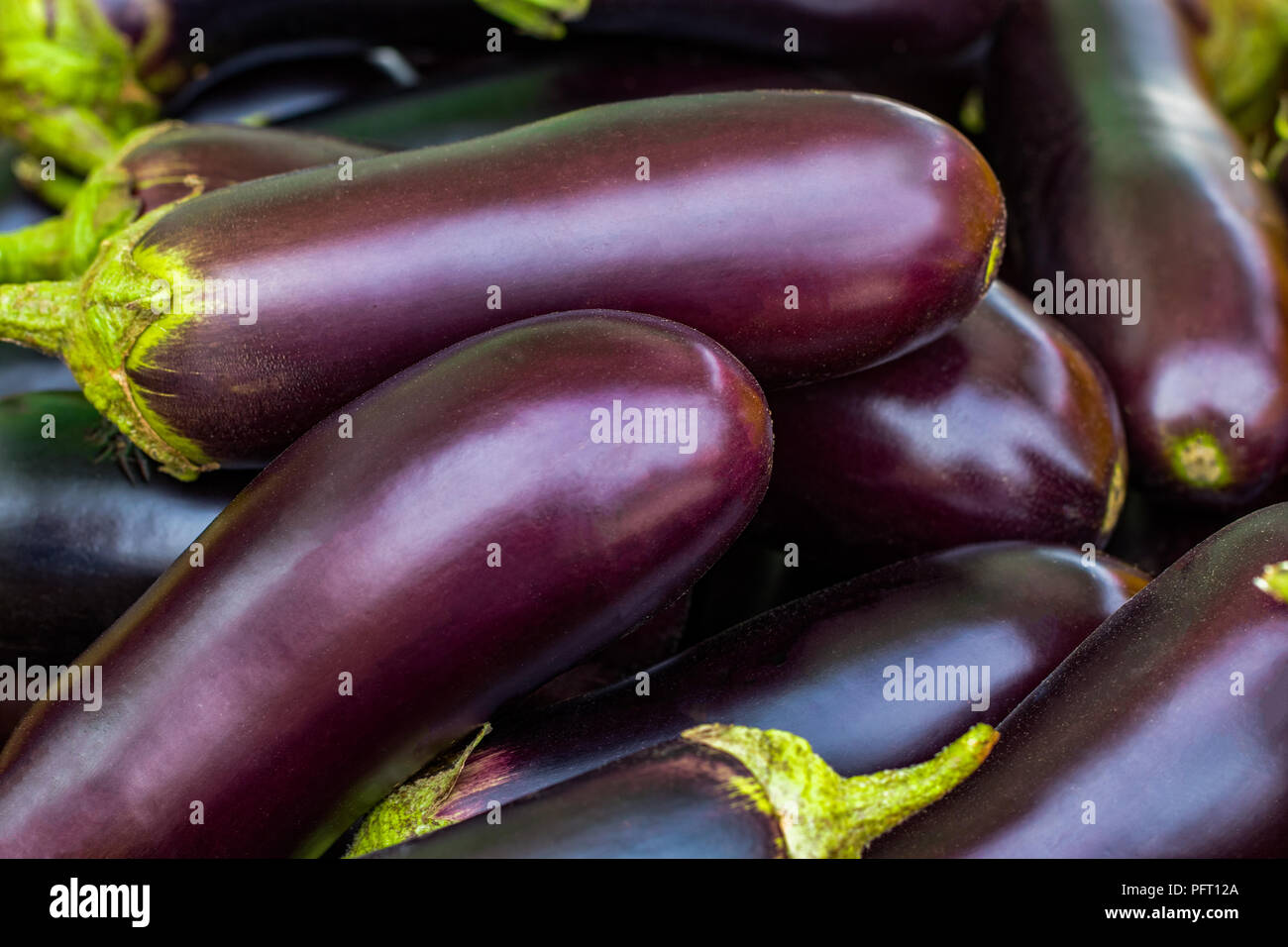 Brinjal eggplant aubergine purple green wet dry market hawker food stall vendor grocery shopping