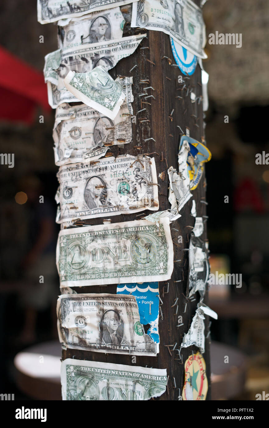 Torn and Damaged Dollar Bills Stapled to a Wooden Post Stock Photo