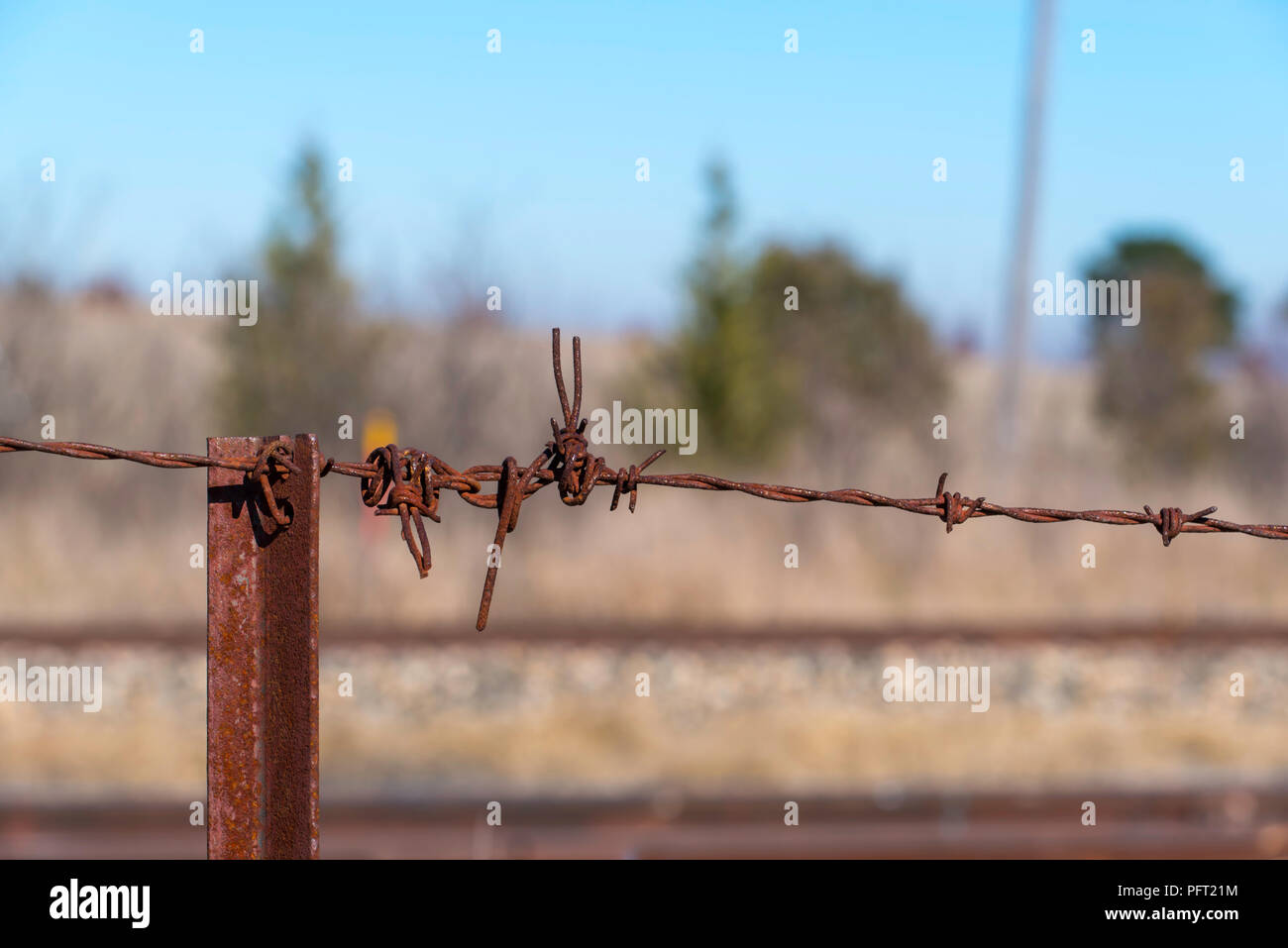 rusty barbed wire