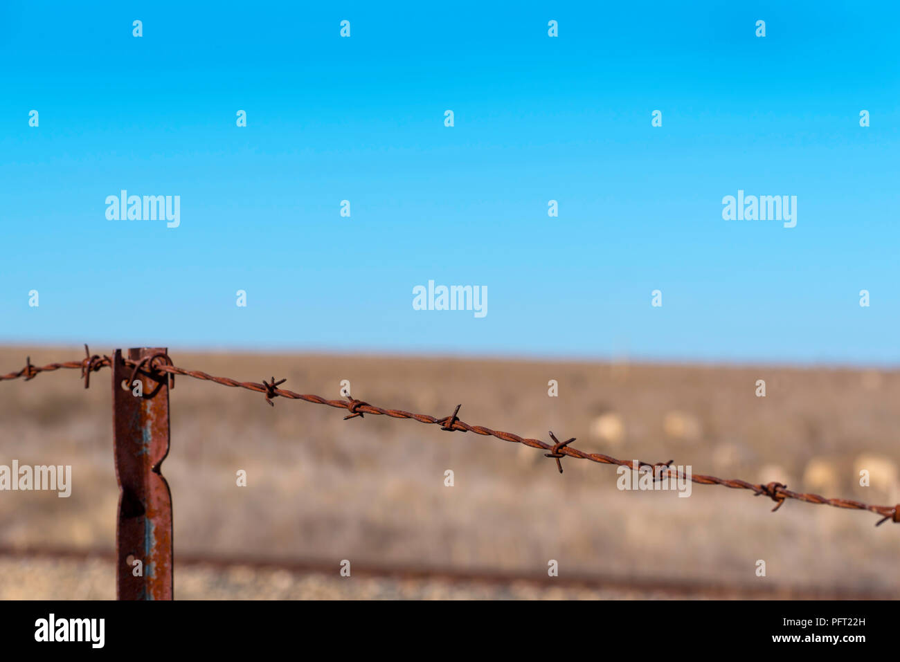 The top wire of a rusty barbed wire fence with a very dry open paddock ...