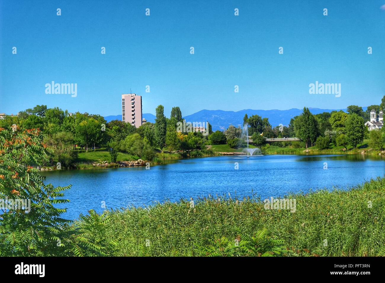A landscape view of a city park during the summer with green trees and ...