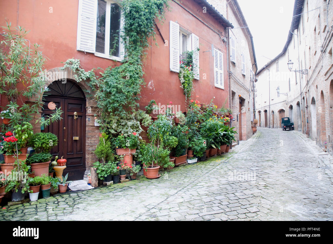 Italy, Le Marche, Amandola, view of a back street, flowerpots lining the facade of a house Stock Photo