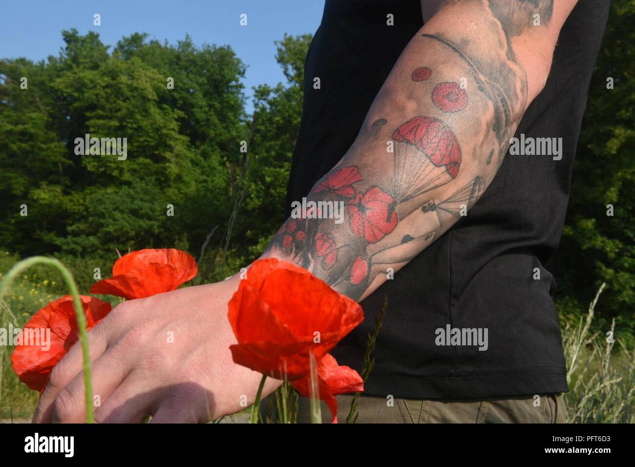 U.S. Army Sgt. 1st Class Nathan Fair, with the Defense POW/MIA Accounting Agency (DPAA) picks a red poppy from a field in Boussicourt, France, May 22, 2018. Fair was part of a team from DPAA sent to excavate a location where a Consolidated B-24 “Liberator” bomber crashed in 1944. DPAA's mission is to provide the fullest possible accounting for our missing personnel to their families and the nation. Stock Photo