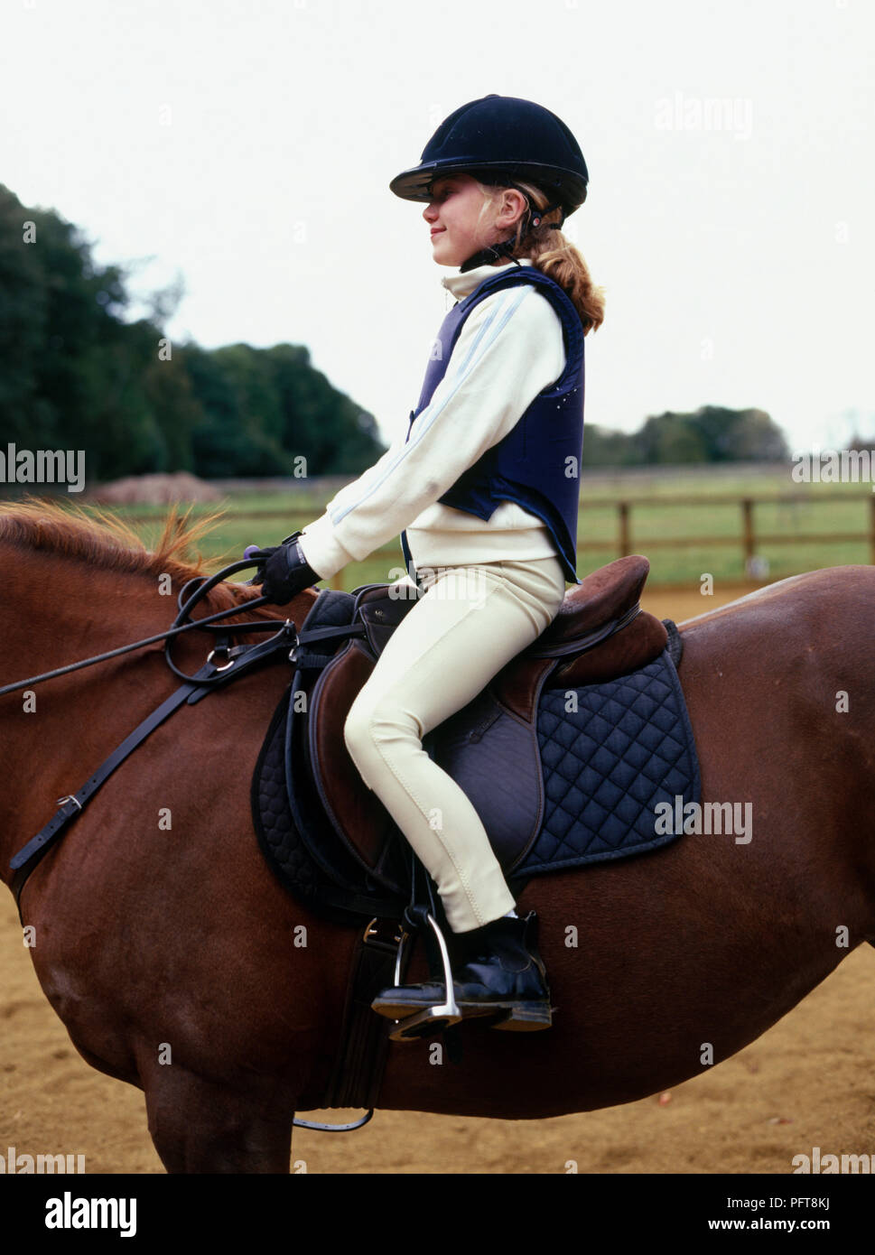 Young girl sitting and holding reins correctly on chestnut pony in paddock Stock Photo