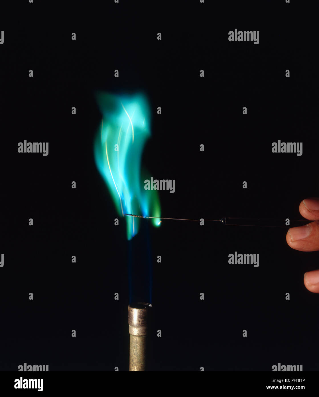 Flame experiment holding copper compound on platinum wire in Bunsen Burner flame, turning flame blue/green Stock Photo
