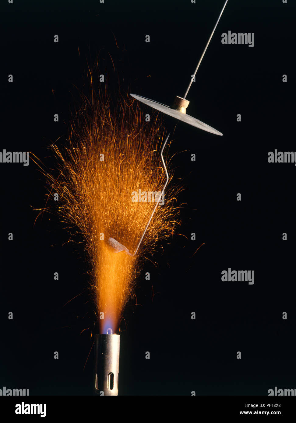 Flame experiment holding sodium chloride compound on platinum wire in Bunsen Burner flame, turning flame yellow Stock Photo